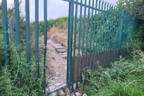 The fence between the two estates in Cashel