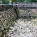 The report also noted rising drought hazards outside the EU, in Britain, Serbia, Ukraine and Moldova