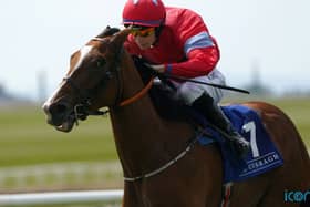 Apprentice suffered major chest trauma after being unseated on Thursday