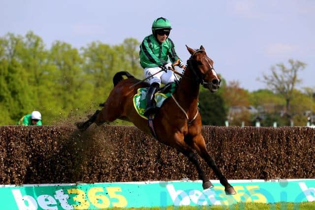 Hewick won the bet365 Gold Cup at Sandown last season for Shark Hanlon – and while he he races over nearly a mile shorter at Galway, the trainer is hopeful he can make his presence felt.