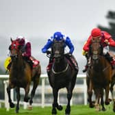 A fabulous week of action begins at Ballybrit this evening with a competitive seven-race card for punters to enjoy as the seven-day Galway Festival begins in earnest. PIC: Sportsfile