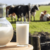 Warning: Nenagh shelves could be left without milk if suppliers can't get better return