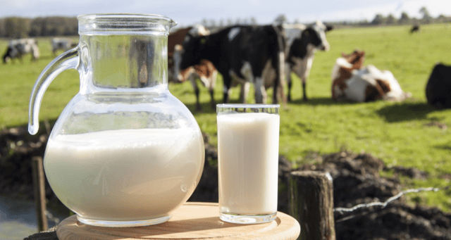 Warning: Nenagh shelves could be left without milk if suppliers can't get better return
