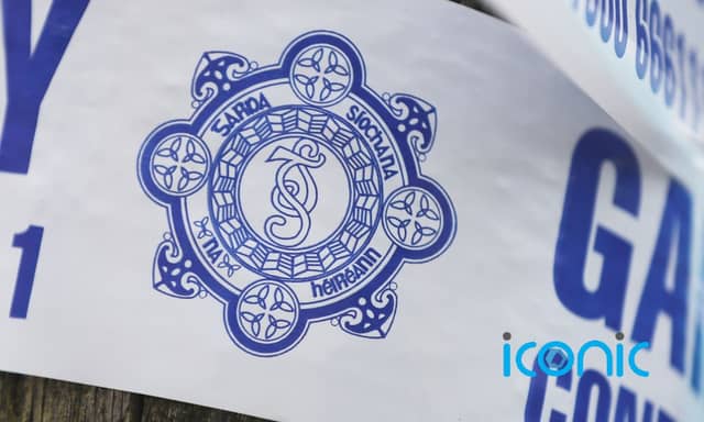 Gardai appeal for witnesses after man dies in single-vehicle collision