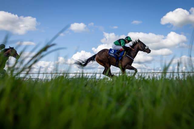 Great progress is being made on the provision of an all-weather track at Tipperary Racecourse