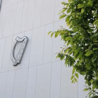 Jury hears of injuries sustained by Tipperary grandmother Josephine Ray