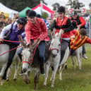 The Donkey Derby at Clonmel Show is always a special attraction