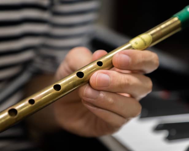 Free Music Lessons for Adults in Roscrea