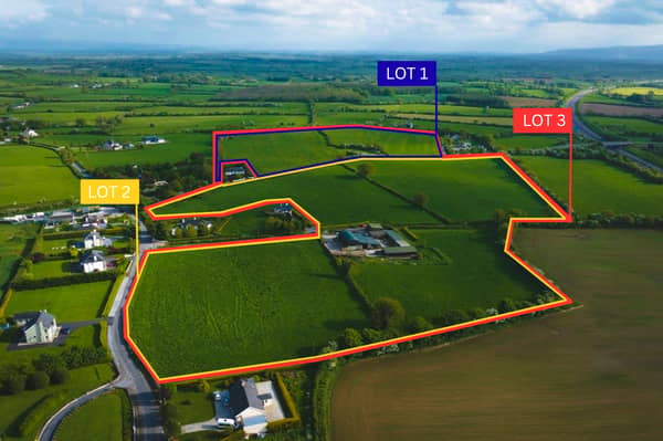 The hammer ultimately fell at €1.27 million for the three lots combined