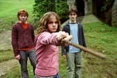 Find your inner Hermione at Nenagh library