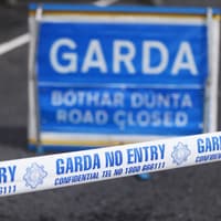 Investigation launched after man’s body found in Dublin recycling facility