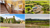 Well-known horse trainer’s home and race track goes up for millions in Tipperary Well-known horse trainer’s home and race track goes up for millions in Tipperary