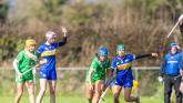 Tipperary minors dig out impressive victory against fancied Limerick team in All-Ireland fare
