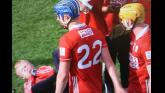 'Unfortunate moment'- Appeal to find young boy hit by hurley after Cork V Tipp game