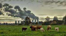 'Time to plan seriously' - State facing fines of up to €20bn for missing carbon targets