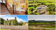 Well-known horse trainer’s home and race track goes up for millions in Tipperary