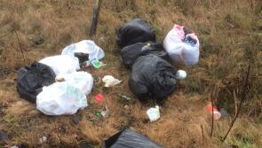 Up to 10 bags of rubbish are dumped every weekend along the old N7 road in Nenagh