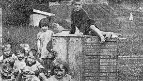 22 more baby remains recovered at former Mother and Baby Home site in Tuam during excavation