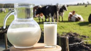 Warning: Nenagh shelves could be left without milk if suppliers can't get better return