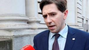 Simon Harris and Micheal Martin are backed to re-enter coalition by punters