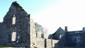 Renowned playwright's performance in Lorrha village will help local shop remain open
