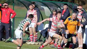 Nenagh Ormond back in action against Old Crescent this Friday