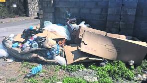 Nenagh councillors demand action on rubbish being dumped on property in the town