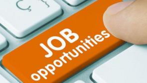 Tipperary jobs market  expected to grow again in 2023, according to local recruitment firm