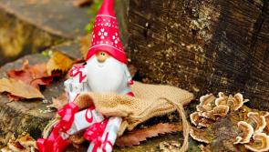 POLL: Have you taken down your Christmas decorations