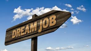 JOBS: Nine companies hiring staff in Tipperary this week