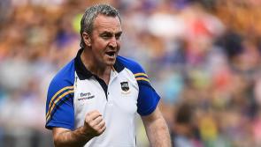 Calling all Ryans: Lecture on the family history of popular Tipperary surname 