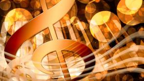 Neighs & Notes concert to raise funds for stables for rescued horses near Carrick-on-Suir