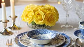 Rural Tipperary community to host New Year party for its senior citizens