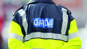 Gardaí seized over half a million euro worth of drugs in 2023
