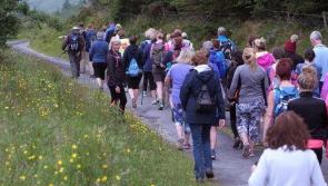 Nenagh Walking Club ends January on a high with two hikes around Killaloe