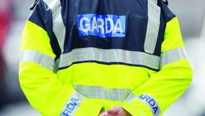 Tipperary gardaí discover machete during car search in Nenagh