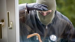 Nenagh gardaí arrest one man in connection with break-ins and car thefts