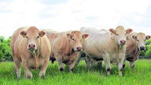 Ifac are inviting Tipperary farmers to share their views