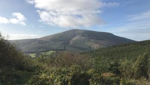 Nenagh Walking Club enjoys the beautiful treks around Silvermines