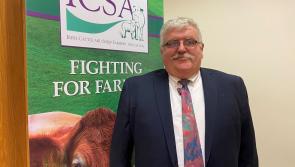 Mistreatment of young calves is unacceptable says ICSA president 