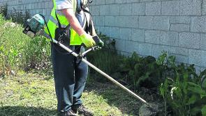Tús Community Work placement initiative now in its tenth year