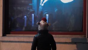 Nenagh gets ready for the big SWITCH on as video exhibition returns to shop windows