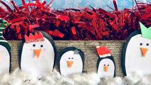 Christmas is coming: Nenagh retailers urged to apply to council for support grants