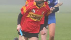 Shannon Rovers clinch place in minor decider