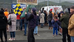 Rally against Covid-19 public health measures held in Nenagh