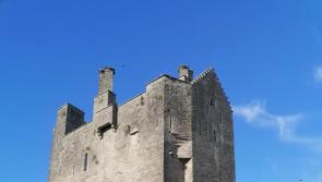 Roscrea Local Area Plan - why not get involved?