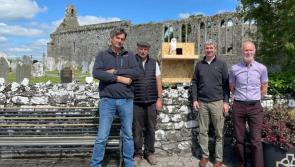 Nenagh district Cathaoirleach helps barn owl project take flight in Lower Ormond