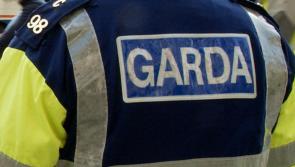 A Tipp  GAA club has been forced to call gardaí due to significant vandalism in recent months