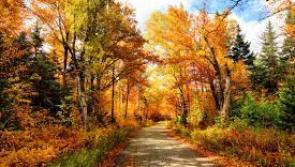 Nenagh Walking Club is looking forward to season of mists and mellow fruitfulness
