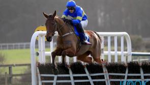 Unbeaten Dysart Dynamo blows Punchestown rivals away
